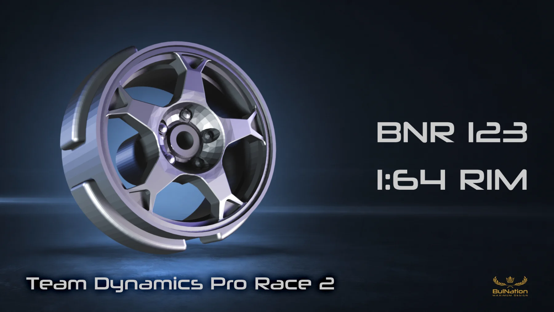 Team Dynamics Pro Race 2